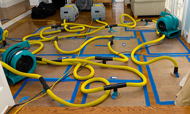 Professional Burst Pipe Water Damage technician working in Isle Au Haut, ME