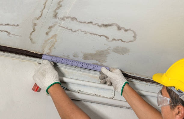 Affordable Burst Pipe Water Damage solutions in Isle Au Haut, ME